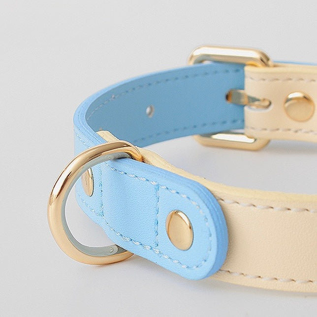 Macaron Leather Collar With Name Tag