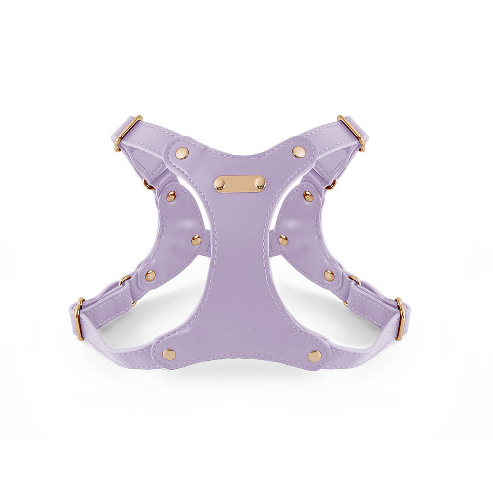Eco-Leather Dog Harness