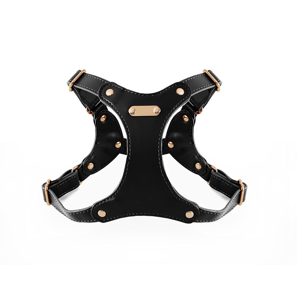 Eco-Leather Dog Harness