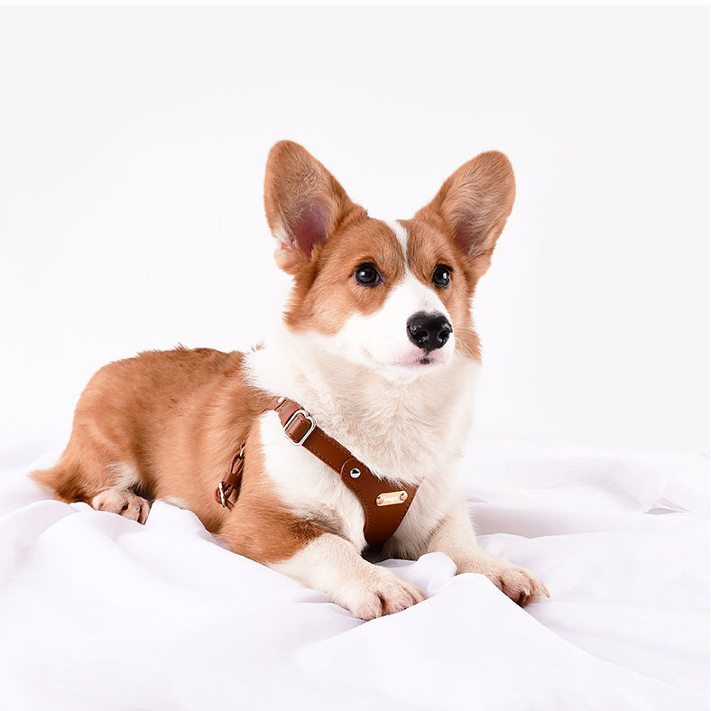 Eco-Leather Dog Harness
