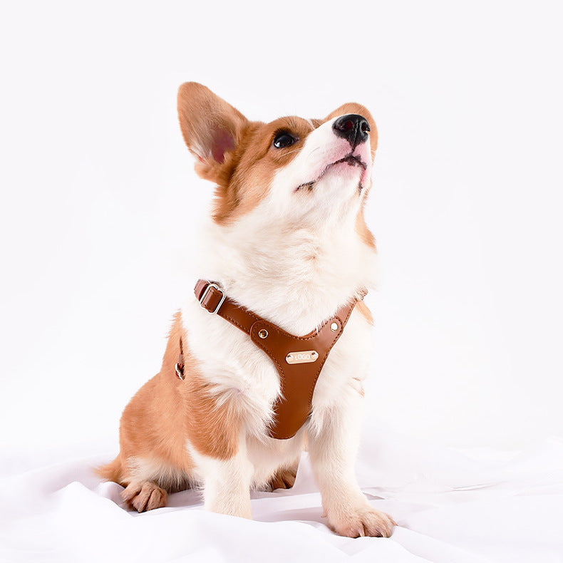 Eco-Leather Dog Harness