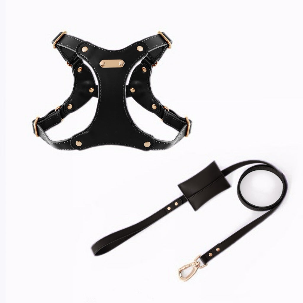 Eco-Leather Harness Walk Set