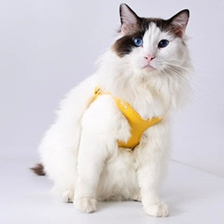 Lightweight Pet Harness