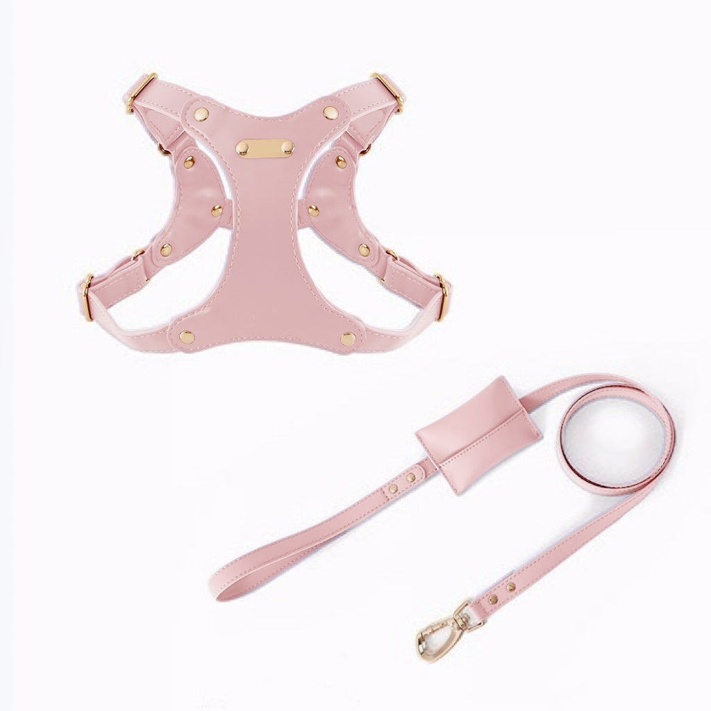 Eco-Leather Harness Walk Set