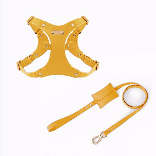 Eco-Leather Harness Walk Set