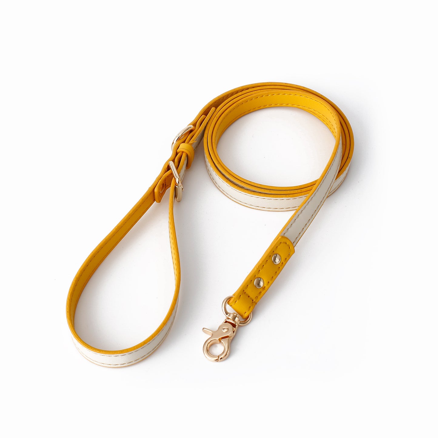 Lightweight Pet Leash