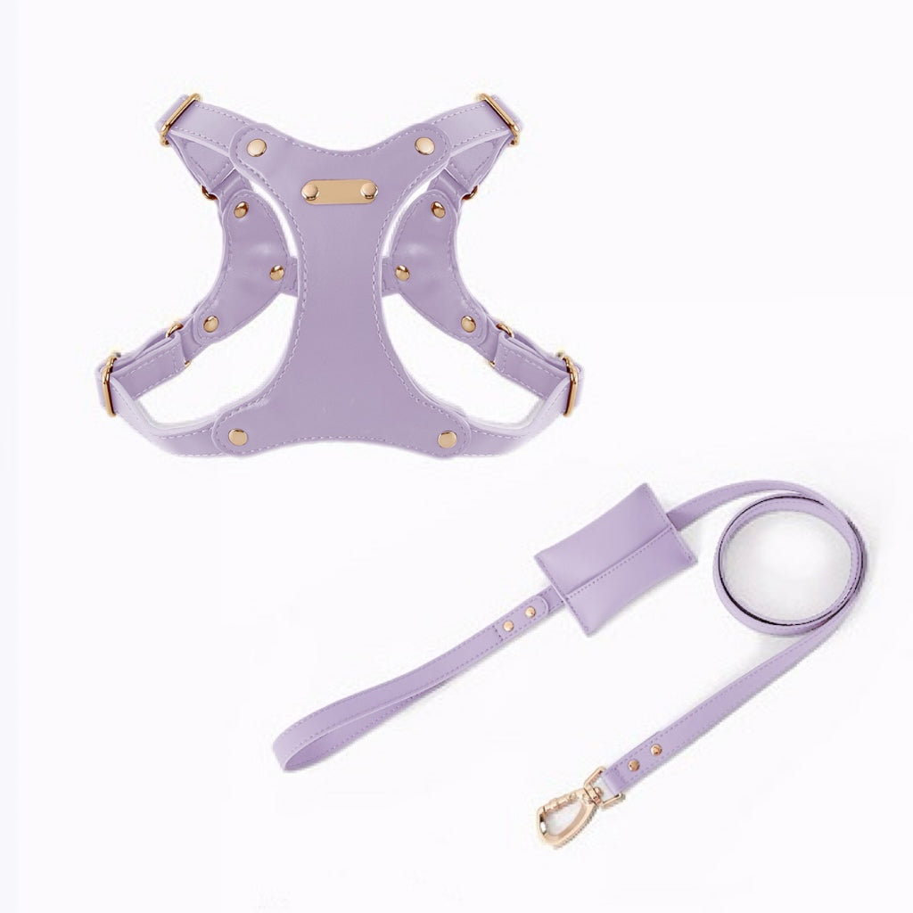 Eco-Leather Harness Walk Set