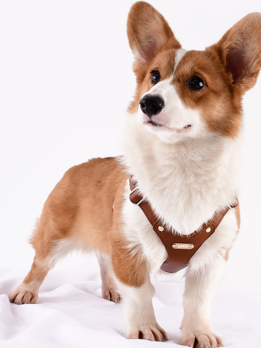 Eco-Leather Dog Harness